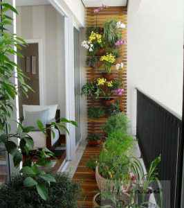 Размещение растений на балконе