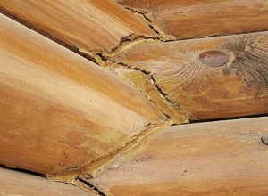 Отрицательныесвойства древесины