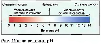 Шкала величин pH