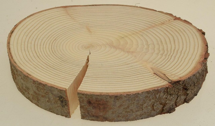 Свойства древесины
